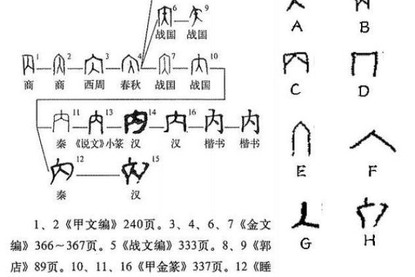 深入理解汉字‘额’的多重含义与用法