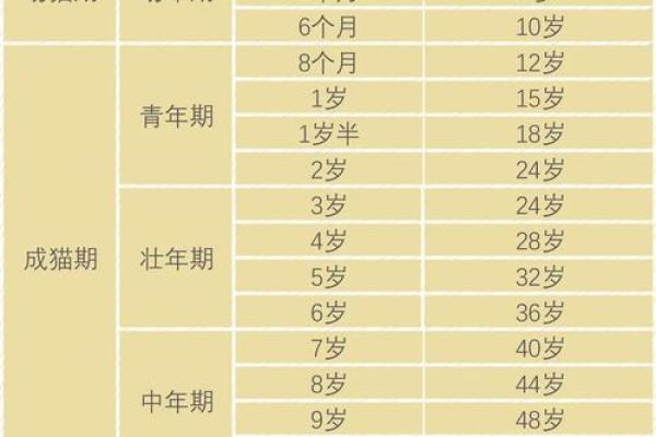 如何科学计算猫的年龄与人类年龄的换算方法