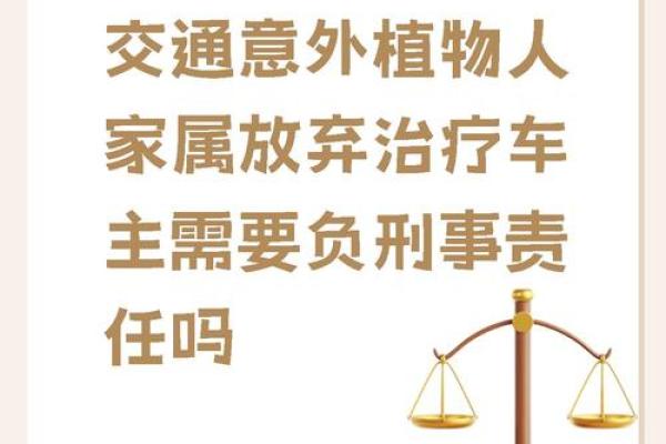 刑事责任的定义与法律意义深入解析